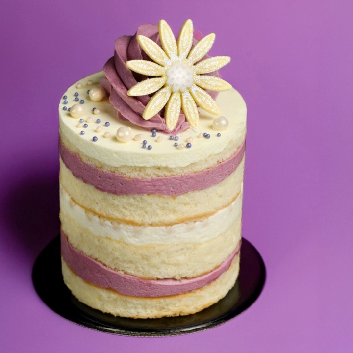 Lemon Blueberry Petite Cake