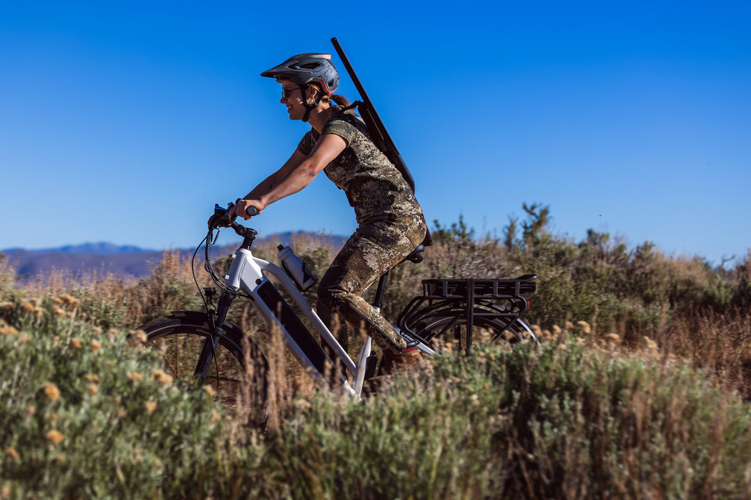 Which Pioneer models have suspension systems?