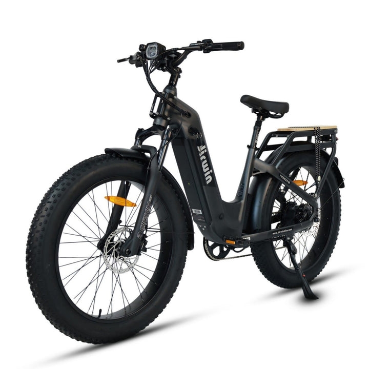 What are the most trail-proven fat tire electric bikes for serious riders?
