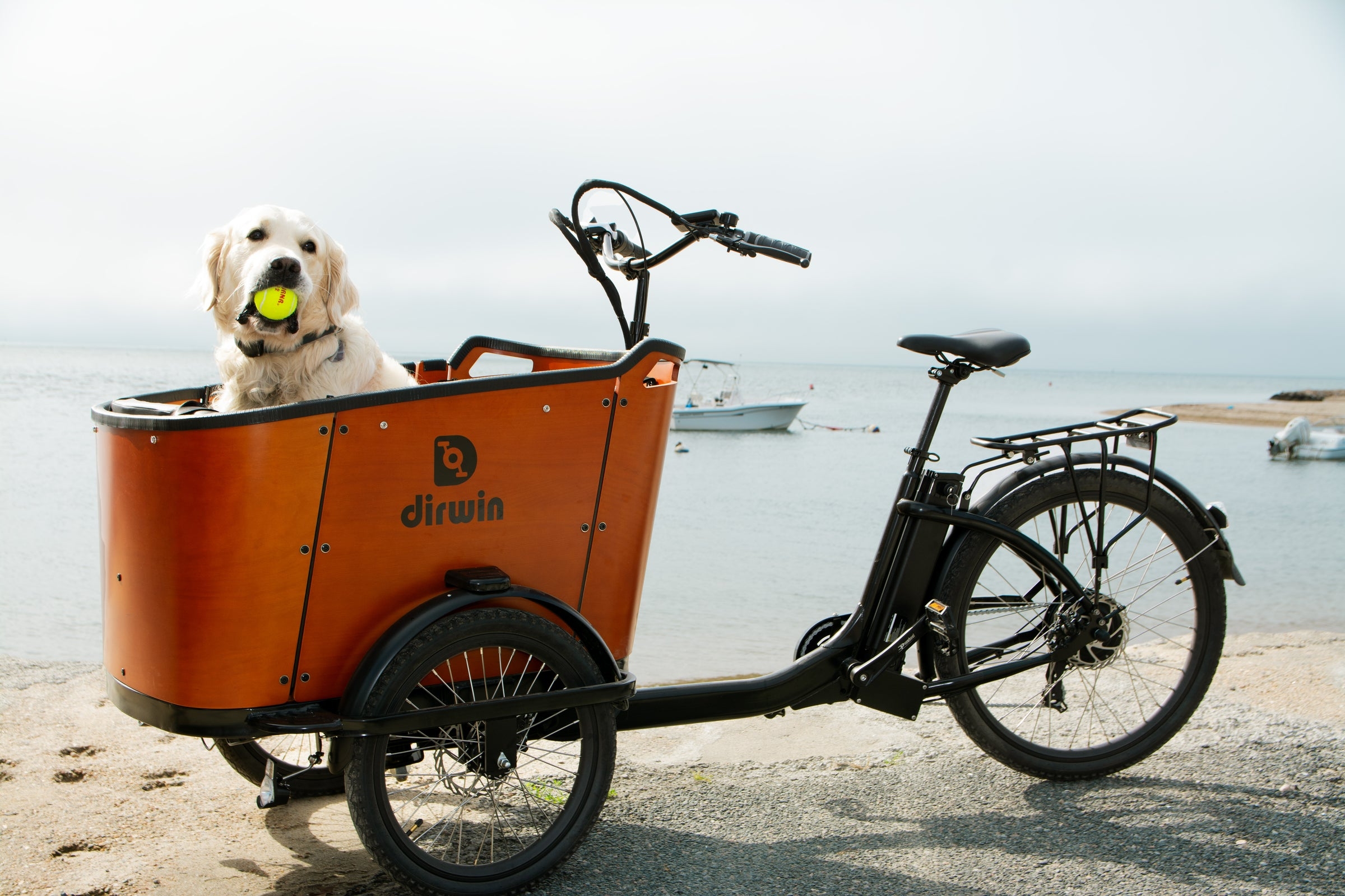 What is the payload capacity of the Pioneer 2 fat tire eBike? Dirwin Bike What is the payload capacity of the Pioneer 2 fat tire eBike?
