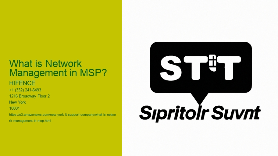 What is Network Management in MSP?
