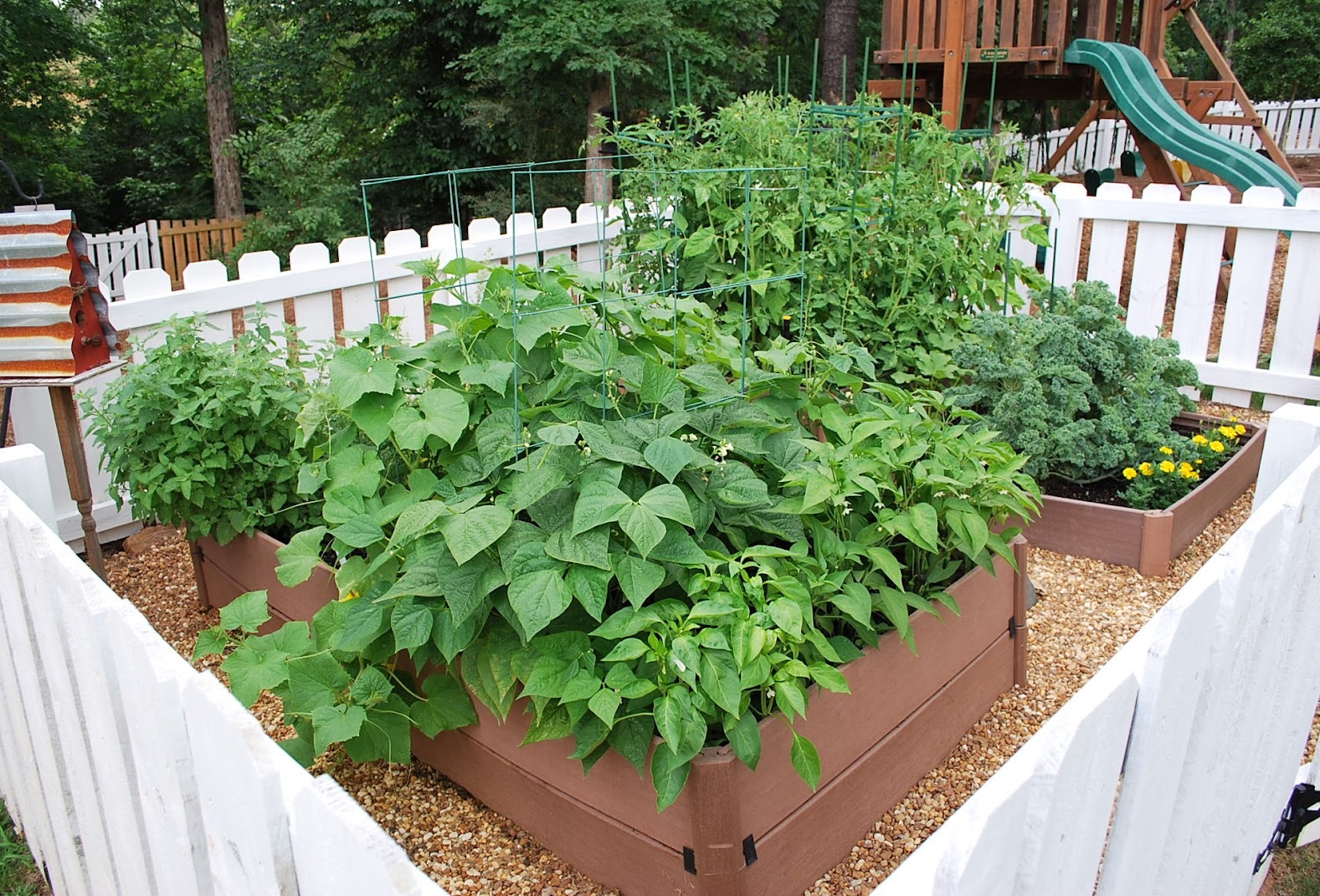 Organic Gardening - sososo | Papaly