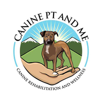 Dog Physical Therapist