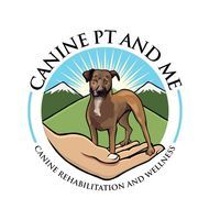 CCL tear in dogs