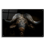Knowledge by Epic Portfolio (12"H x 16"W x 0.13"D)