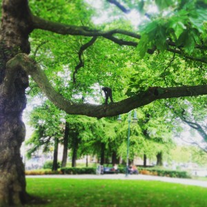 Image 4 www.littlebrookroad.com #HeHoLetsGo