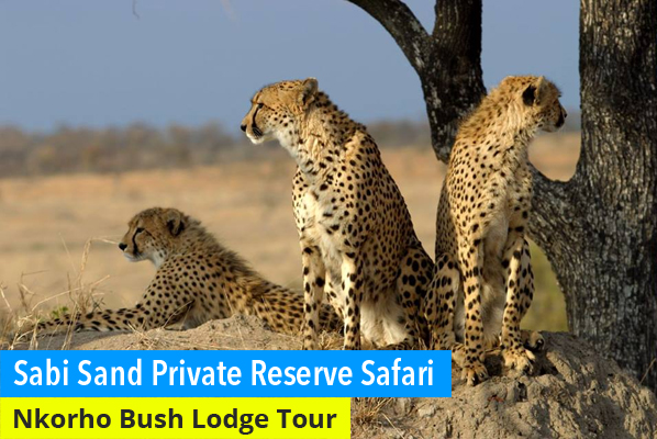 Sabi Sand Private Game Reserve