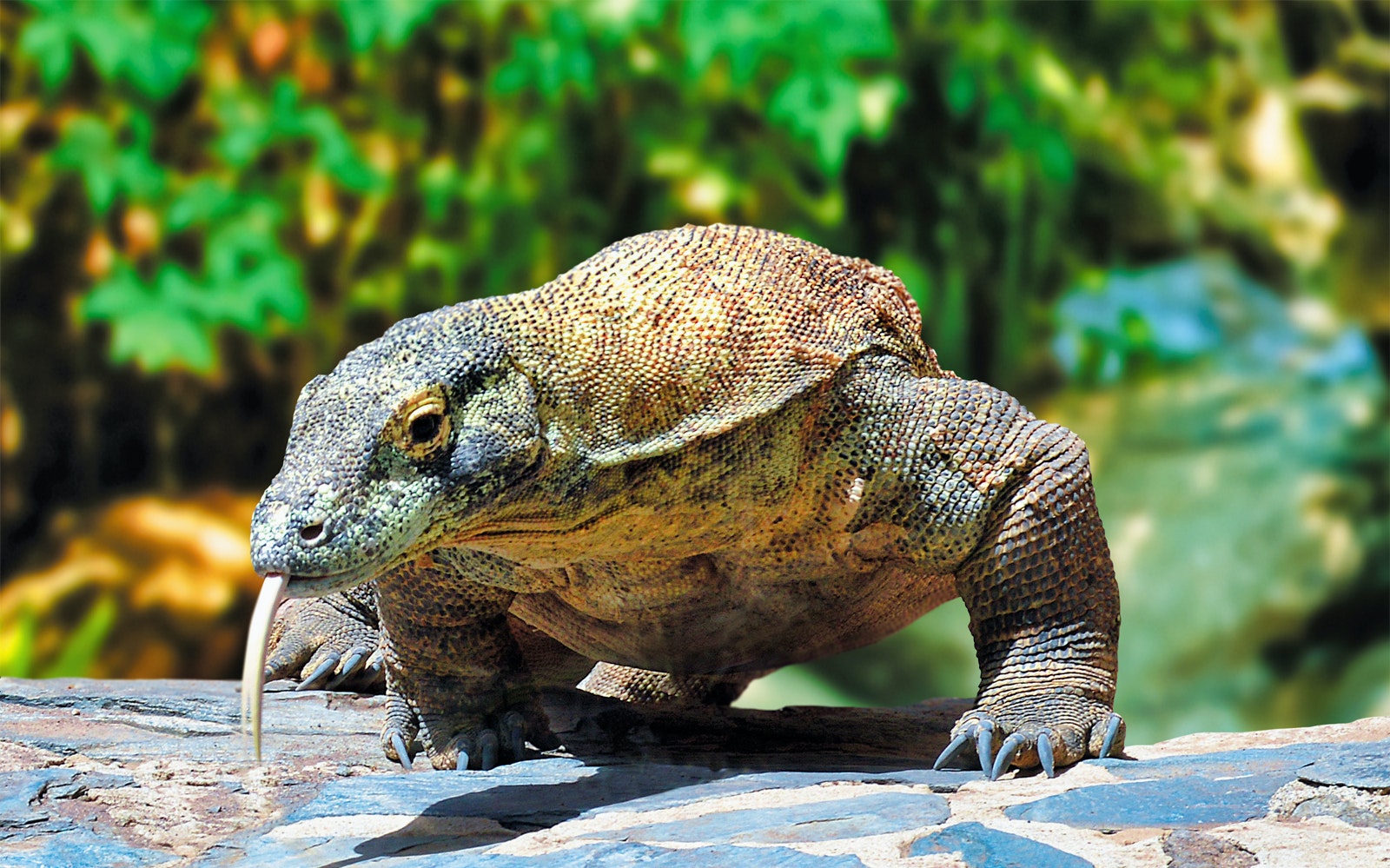 Palmitos Park Tickets