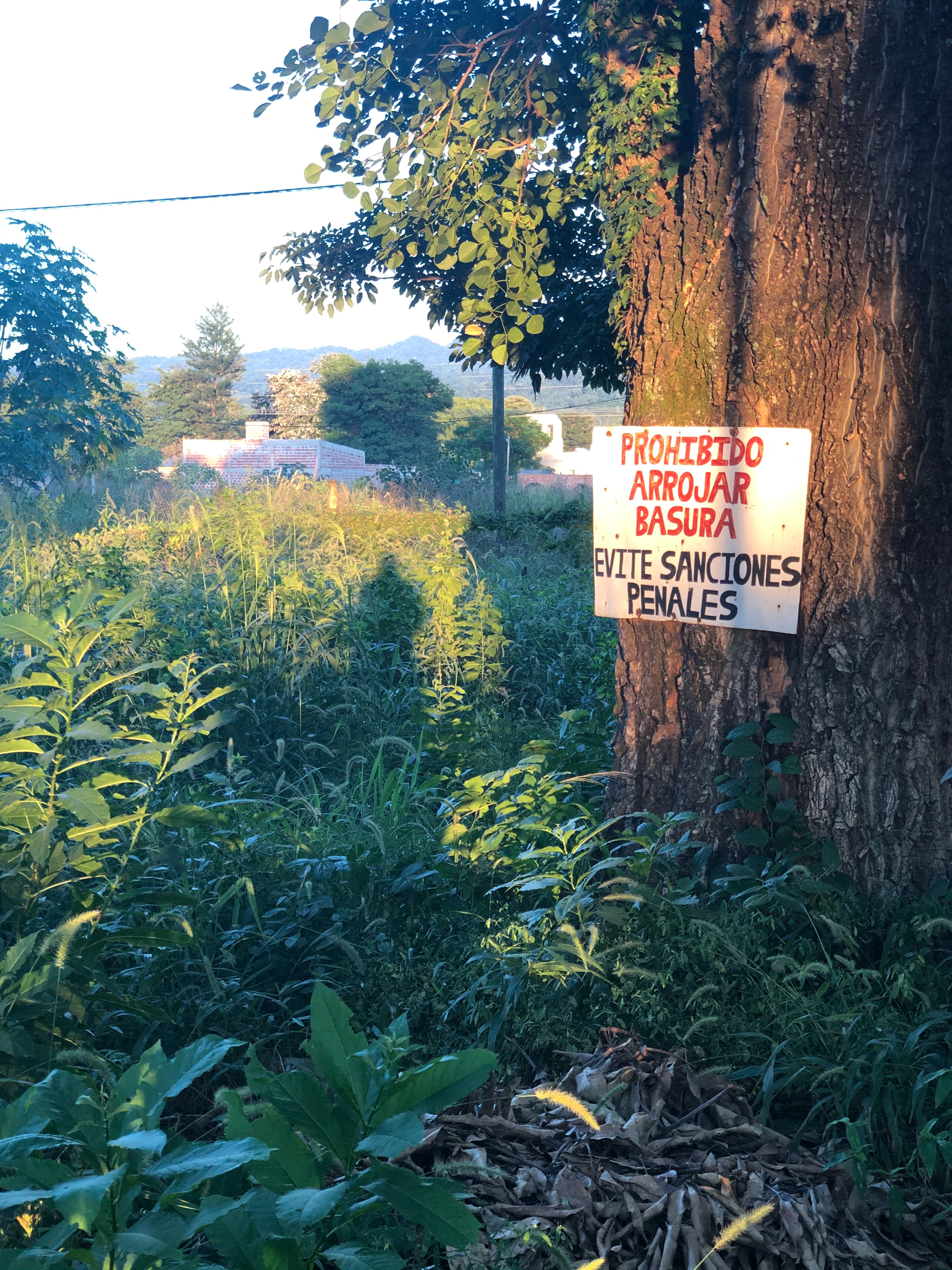 Jardim da Biodiversidade no Barcelona Zoo