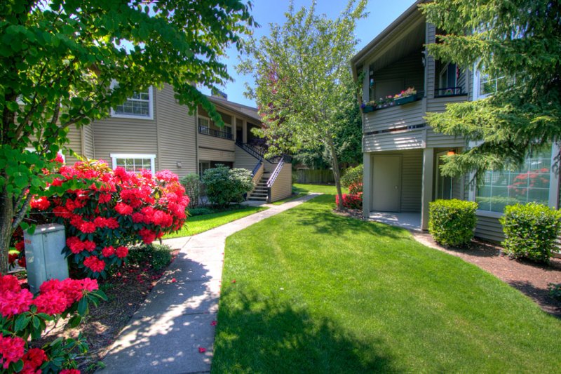 Virtual Tour of 3711 164th ST SW, Lynnwood, Washington 98087