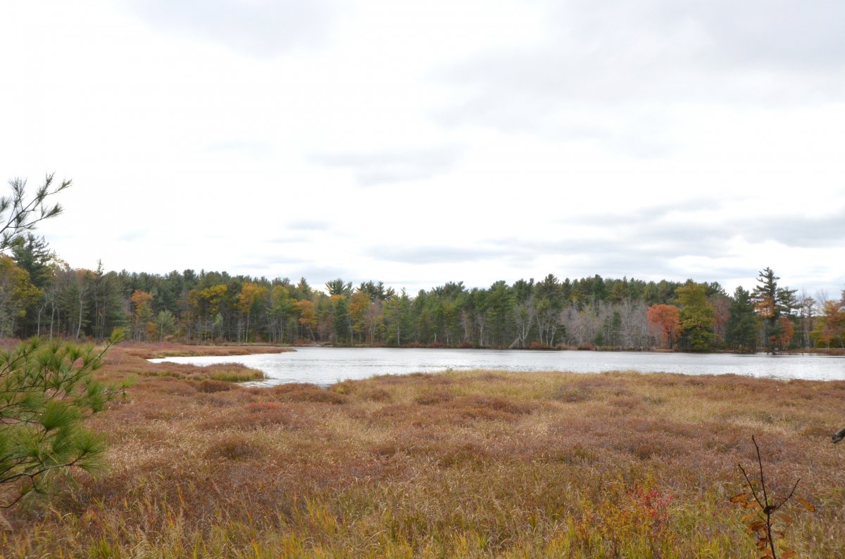 Virtual Tour of 230 Ellis Road, Westminster, Massachusetts 01473