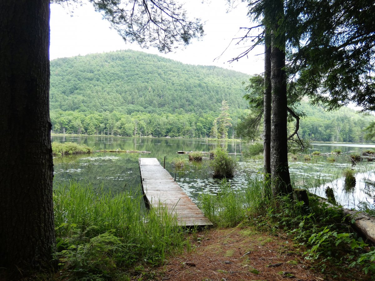 Virtual Tour of 35 Mountain Path, Johnsburg, New York 12853 Land