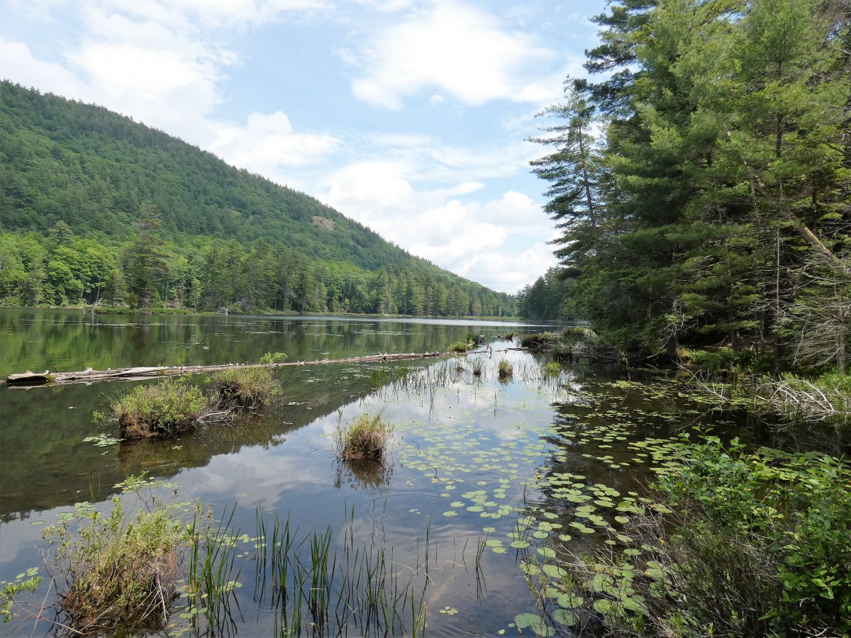 Virtual Tour of 35 Mountain Path, Johnsburg, New York 12853 Land