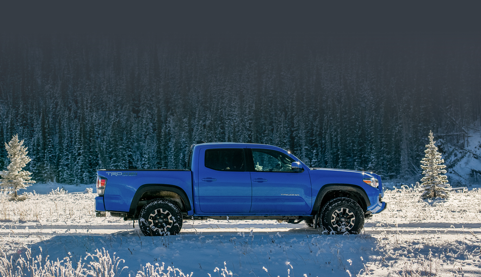 Winter Tires and Replacement Tires - Toyota Canada