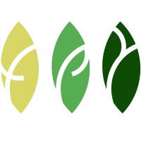 TPY Capital