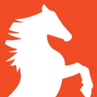 Stallion