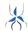 WindSpider