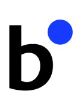 BluePoint Partners