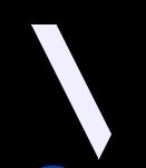 Vivium Holding