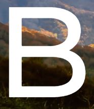 Broad Venture Capital
