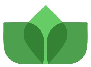 IVY Growth Associates