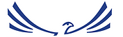 Falcon Capital