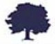 Great Oaks Venture Capital