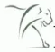 Lion Capital