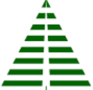 Lone Pine Capital