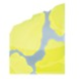 Pallasite Ventures