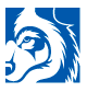 Blue Wolf Capital Partners