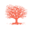 Benson Oak Ventures