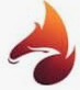 Feenix Venture Partners