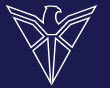 Flash Group
