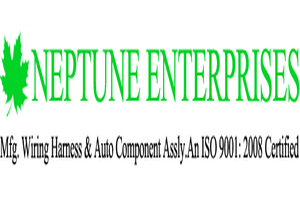 Neptune Enterprises