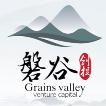 Grains Valley Venture Capital