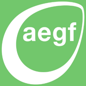 The Advantage Early Growth Fund