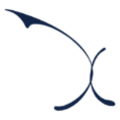 Axon Partners Group