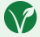 ProVeg Incubator