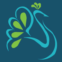 Zephyr Peacock