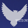 White Owl Capital