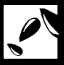 Radicle Impact Partners