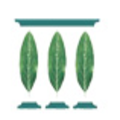 Manzanita Capital