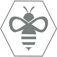 Apis Partners