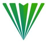 Voltron Capital
