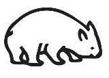 Wombat Capital