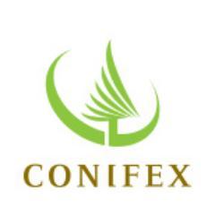 Conifex Timber