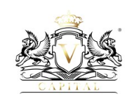 V Capital