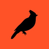 Black Jays