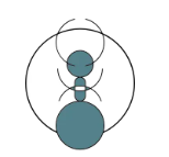 Formica